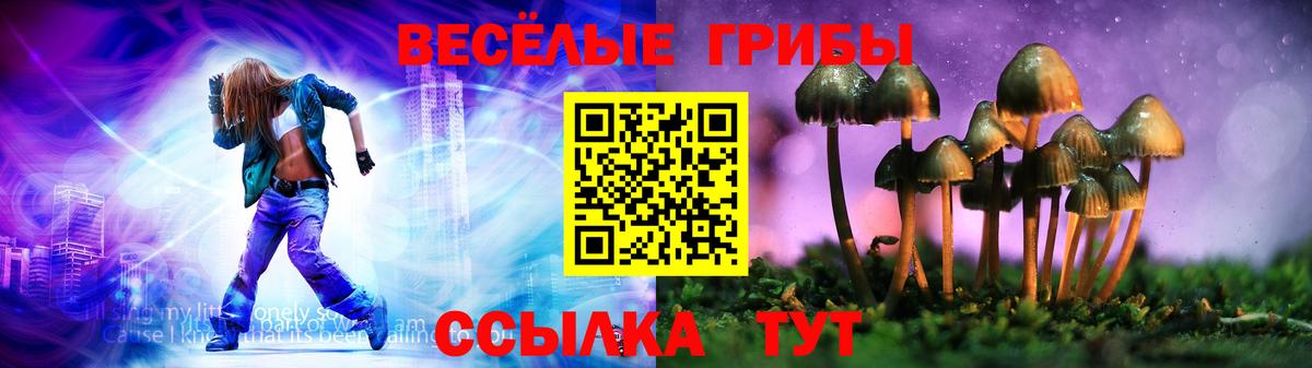 Псилоцибиновые грибы ЛСД  Галлюциногенные грибы Cubensis  Балтийск  Вход с VPN 